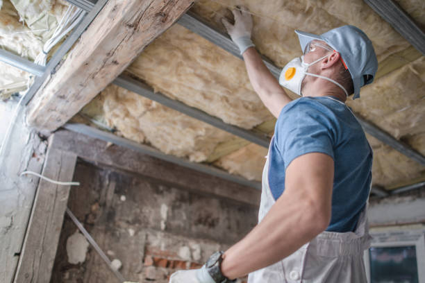 Best Insulation Inspection Services  in Springville, NY