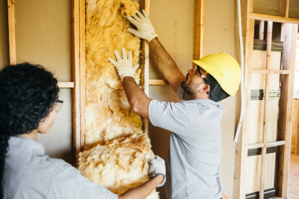 Insulation Replacement Services in Springville, NY