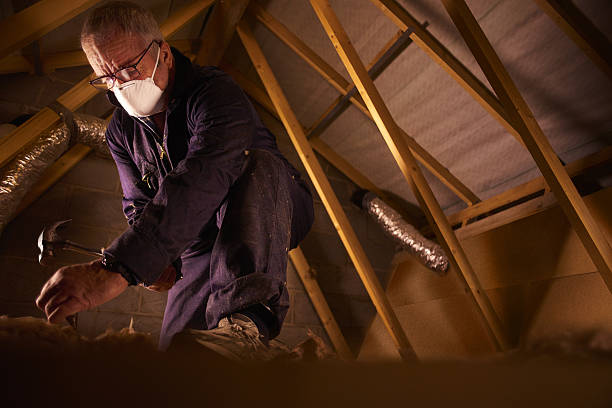 Best Crawl Space Insulation  in Springville, NY