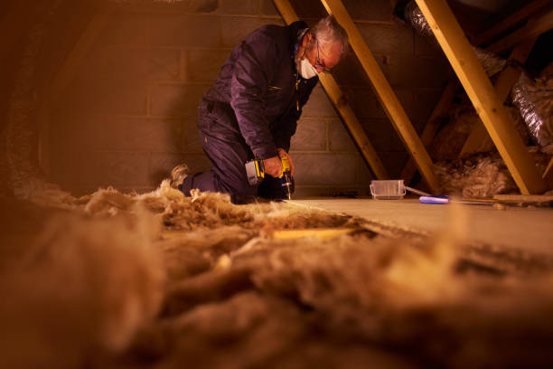 Best Energy-efficient Insulation  in Springville, NY